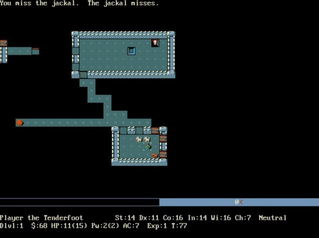 NetHack, roguelike canonique en mode texte