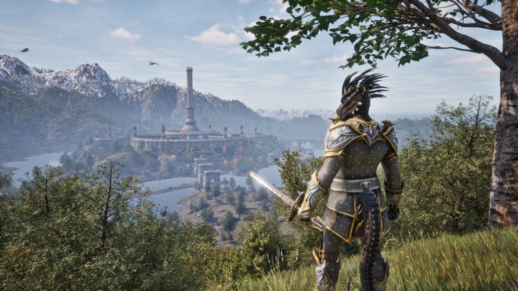 Un personnage en armure argentée et dorée, sur une colline boisée, regarde au loin une ville fortifiée dominée par une tour blanche.